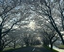 夫婦に関わること、子育ての事聞きます 不安が軽くなる方法を一緒に見つけていきましょう！ イメージ2