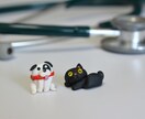 自分らしさを大切にした就職・転職、相談乗ります いろいろな角度からあなたに合った職場探し、お手伝いします！ イメージ1