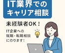 IT業界でのキャリア相談にのります 未経験からIT業界へ！あなたのキャリアを一緒に考えます！ イメージ1