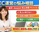 楽天・Amazon EC運営の悩み相談に乗ります EC運営の悩み、気軽に相談できます イメージ1
