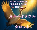 カラーオラクルカードとタロットカードで占います 現役保育士。寄り添いの占い師鑑定後には心がホッと温かくなる イメージ1