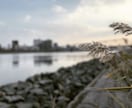 物件内装・外装写真撮影、キャッチ作成します 不動産コンサルタントが提供する営業促進のための物件写真撮影 イメージ8