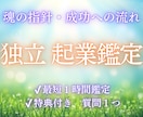 独立・副業・起業は成功する？仕事運を霊視します 成功の可能性・動き出す時期・あなたに合う働き方まで深く視ます イメージ1