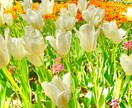 自信が持てない方へ、あなたの容姿を褒めまくります 性別年齢不問！あなたの容姿を褒めまくります！ イメージ1