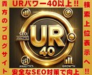 外部SEO強化！UR値向上で検索上位へ！導きます 安全で確実な施策でドメインパワーを強化！ イメージ1