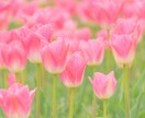 離婚、再婚、毒親、精神疾患などのお話お聞きします 【悩み相談】人生経験を積んできた50代の私がお聞きします☘️ イメージ6