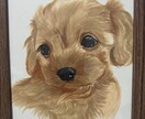 お写真からペットの似顔絵を描きます アナログで温かさを大切に描きます。 イメージ4