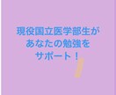 国立医大生が勉強が苦手な子に指導致します 現役国立医学部生が指導する経験に基づいた的確なオンライン指導 イメージ1