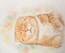 あなたの大切な愛猫の似顔絵描きます 柔らかい雰囲気でリアルな似顔絵描きます イメージ2