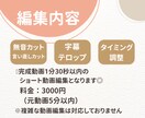 ショート動画の字幕入れします 無音カット・字幕・テロップ対応します イメージ2
