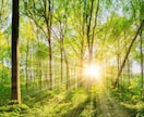サクッと恋の進展を占います 毎月変わるテーマを、ルノルマンカードで丁寧に読み解きます。 イメージ6