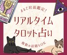 チャット形式で質問無制限✡️タロットで占います 【〜10名限定価格】相手の気持ちは？この先どうなる？ イメージ1