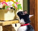 あなたの悩み、とことん傾聴いたします とことん話して心のお荷物おろしましょう イメージ1