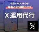 Xのプロが初期アカウントをブーストします 【X運用代行】初期アカウントに勢いを イメージ1