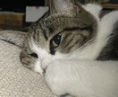 毎日頑張ってる方のお話し聞きます 今日のイライラは今日のうちに発散しましょう イメージ1