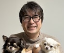 犬の食事やフードの不安を一緒に整理します 今のごはんが合っているか 迷っている方へ イメージ1