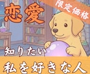 6h以内お届け【600字】あなたを好きな人占います 【4月末まで2000円→500円】ルノルマン×タロットW鑑定 イメージ1