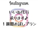 インスタのいいね代行いたします ＼全て手作業で質の良いアカウント作りをお手伝いします♪／ イメージ1