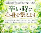 病院に行くほどじゃないけど辛い時に心身を整えます なんとなく不調・苦しい時に遠隔で心と体のバランスを整えます イメージ1