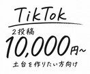 SNS初心者向け！あなたの運用をサポートします SNSを始める第一歩をお手伝いします イメージ1