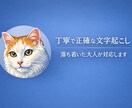 丁寧で正確な文字起こしをお手伝いしますます 聞き取りやすく正確に文字起こしします イメージ1