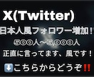 X 日本人風フォロワーを500人〜増加させます X/Twitter/5000人まで/15日間補填保証 イメージ1