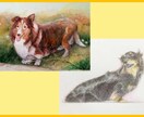 あなたのペット、動物、猫、犬、鳥、何でも描きます プレゼント選びにお困りの方にオススメ！ イメージ3