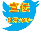 男女別ターゲット指定★ツイッター８万人に宣伝します オールジャンルOK！男女別に宣伝対象が決まっている人おすすめ イメージ1