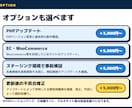 WordPressのアップデートを代行します バックアップから更新後の確認までまとめて対応 イメージ9