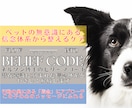 ペットの信念をやさしく整えて本来の状態へ導きます ネルソン博士のビリーフコードでペットの信念をやさしく整えます イメージ1
