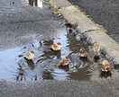 チャットで3日間☆元気を一緒に探します ☺︎︎あなたの心の荷物、ここに少しおろしていきませんか？ イメージ4