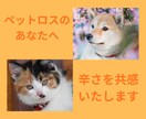 ペットロスの悲しみ寂しさ辛さ全てお聴きます ペットの居ない人生がなく何度もお別れの経験をしてきました イメージ1