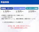 現役コンサルタントがマーケティング戦略を支援します 外資系コンサル歴15年：マーケティングのアドバイス・リサーチ イメージ4