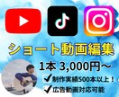 成果が出る動画編集を1本3,000円で行います TikTok,Instagram,YouTubeなど イメージ1