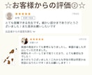 最高の英語プレゼンやスピーチ発表のコツを教えます 自信を持って本場を迎えるようにコーチングします イメージ4
