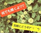 貴方の新しいお友達になります ✨自分の事を知らない人だからこそ、話せる事ってありますよね✨ イメージ1