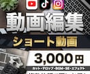 SNS向けのショート動画を作ります 納期厳守⭕️、修正対応⭕️、丸投げ⭕️ イメージ1