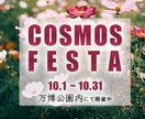 1クリックを生む！広告用バナー・ヘッダー作ります 丁寧なヒアリングで理想のデザインに イメージ5