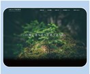 予算・スケジュールに応じて、Webサイト作ります 低コストでWebサイトを作りたい方、ご相談ください！ イメージ10