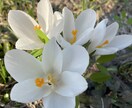 メンタルケアカウンセラーです。ぜひお待ちしています 介護福祉士は23年勤務し、色々な経験を経てカウンセラーです イメージ4