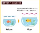 粗い画像や手書きイラストのデータ化いたします 大切な画像をキレイに仕上げます！安心してお任せください！ イメージ4