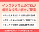 つい読みたくなる有益なインスタ投稿ネタを作成します ココナラ常時満枠・経験3年のノウハウを惜しみなく注ぎ込みます イメージ7