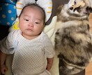 愚痴や悩みをお聞きします 誰かと雑談したいとかも歓迎です♪ イメージ2