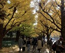 優しく受け止めます 誰にも言えない気持ち、私がそっとお聴きします。 イメージ2