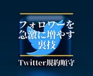 アカウント映え！ツイッターフォロワー増加術教えます アカウントの見栄えを整え発信に説得力を！裏技公開 イメージ1