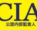 公認内部監査人(CIA)試験の疑問点に答えます 2020年度合格である私が受験の悩みや疑問点を解消します イメージ1