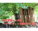 知って得する【パワースポット】本当の使い方教えます 【金運】【恋愛運】【勝負運】アップのスピリチュアル活用術♪ イメージ2