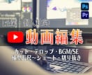 Premiere Proを使った動画編集します ショート動画編集は別途要相談 サムネイル制作も対応致します イメージ1