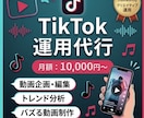 TikTok運用代行承ります 徹底リサーチ！月１万でフォロワー増加 イメージ1
