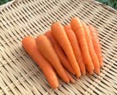 自然栽培・有機栽培による野菜の作り方を教えます 無農薬・無肥料又は有機肥料・固定種による野菜栽培を伝授 イメージ10